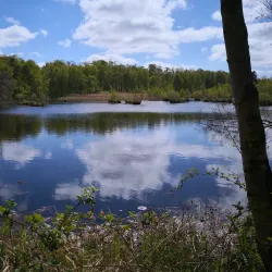 Falster Golf Club - Nykobing Falster