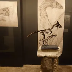 Falster Museum - Nykobing Falster