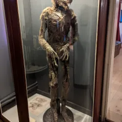 Falster Museum - Nykobing Falster