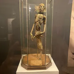 Falster Museum - Nykobing Falster