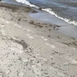 Marielyst Beach - Nykobing Falster