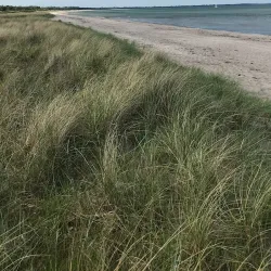 Marielyst Beach - Nykobing Falster