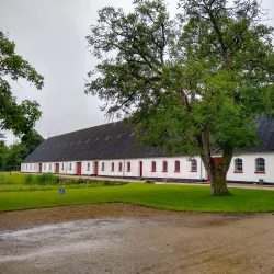 Nykøbing Falster Art Museum (Falsters Kunstmuseum) - Nykobing Falster