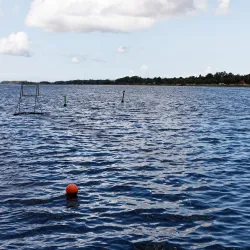 Nykøbing Falster Harbor - Nykobing Falster