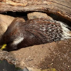 Reventlow Park - Nykobing Falster