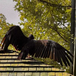 Reventlow Park - Nykobing Falster