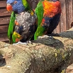 Reventlow Park - Nykobing Falster