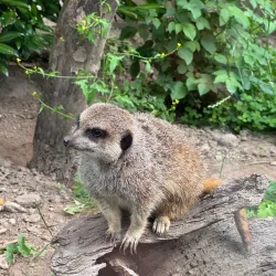 Reventlow Park - Nykobing Falster