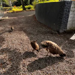 Reventlow Park - Nykobing Falster