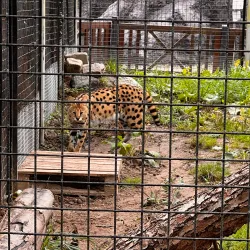 Reventlow Park - Nykobing Falster