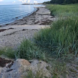 Hovvad Beach - Odder