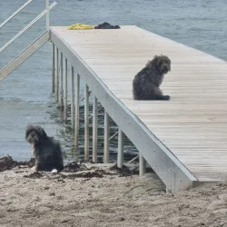 Hovvad Beach - Odder