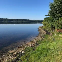 Mariager Fjord - Odder