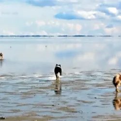 Mariager Fjord - Odder