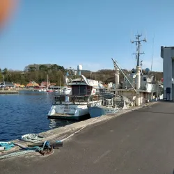 Mariager Fjord - Odder