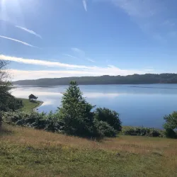 Mariager Fjord - Odder