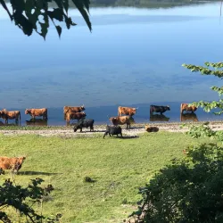 Mariager Fjord - Odder