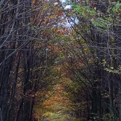 Mariager Fjord - Odder