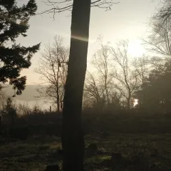 Mariager Fjord - Odder