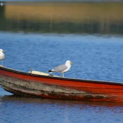Norsminde Fjord - Odder