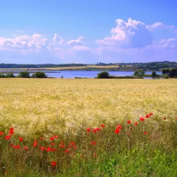 Norsminde Fjord - Odder