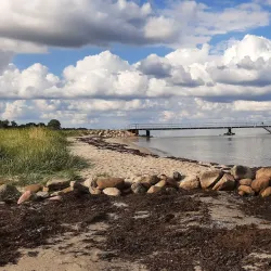 Odder Harbour (Odder Havn) - Odder