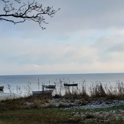 Odder Harbour (Odder Havn) - Odder