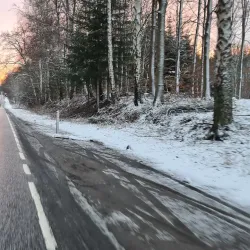 Rude Forest (Rude Skov) - Odder