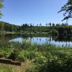 Rude Forest (Rude Skov) - Odder