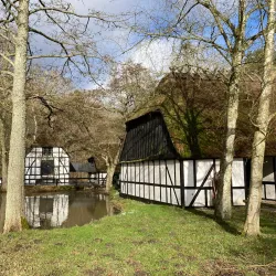 Skovmøllen Odder - Odder