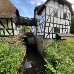 Skovmøllen Odder - Odder