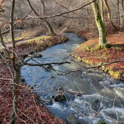 Skovmøllen Odder - Odder