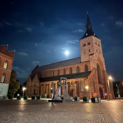 Odense Cathedral (St. Canute's Cathedral) - Odense