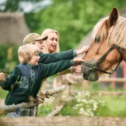 The Funen Village (Den Fynske Landsby) - Odense