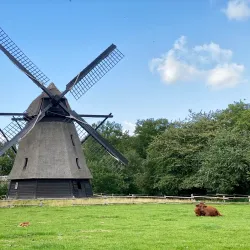 The Funen Village (Den Fynske Landsby) - Odense