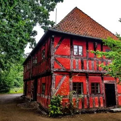 The Funen Village (Den Fynske Landsby) - Odense