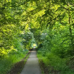 Langå River (Langå Å) - Randers