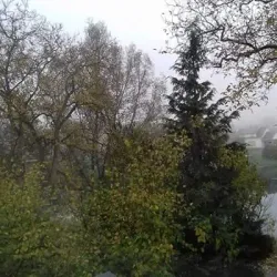 Langå River (Langå Å) - Randers