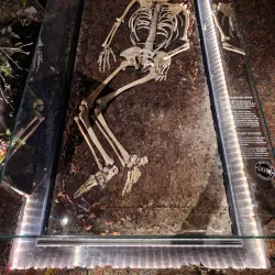 Randers City Museum (Randers Museum) - Randers