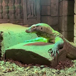 Randers Tropical Zoo (Randers Regnskov) - Randers