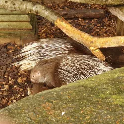 Randers Tropical Zoo (Randers Regnskov) - Randers