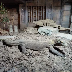 Randers Tropical Zoo (Randers Regnskov) - Randers