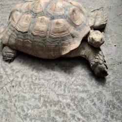 Randers Tropical Zoo (Randers Regnskov) - Randers