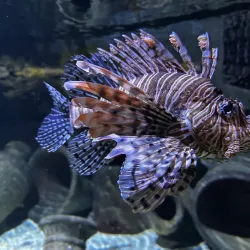 Randers Tropical Zoo (Randers Regnskov) - Randers