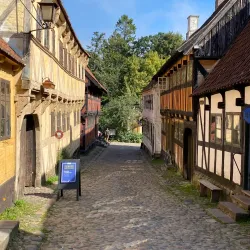 The Old Town (Den Gamle By) in Randers - Randers