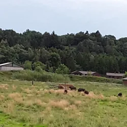 Vorup Enge Nature Reserve - Randers