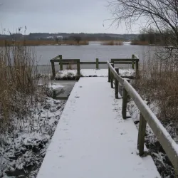 Vorup Enge Nature Reserve - Randers