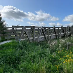 Vorup Enge Nature Reserve - Randers