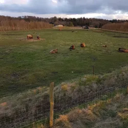 Vorup Enge Nature Reserve - Randers