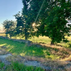Knud Lavard's Grave - Ringsted